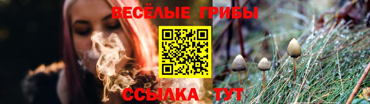 Псилоцибиновые грибы Cubensis Кореновск